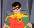 Robin NAOB 001