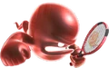 GhostMTUS.png