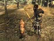 Raider guard dog KBB