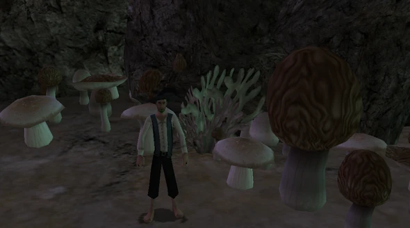 MushroomGarden