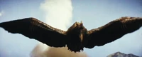 Rodan64