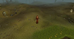 Battle Runes