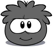 Black Puffle (20)