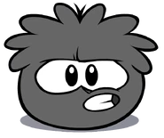 Black Puffle (29)
