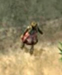 Wasteland Woman