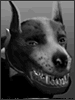Lucky (Fallout Tactics)