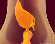 Flame Princess 5