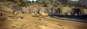 UNUSUAL BEACH