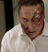 202-Renard morphed2
