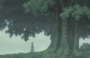 Ep249MuramasaReachesTree