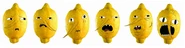 Majestic lemon