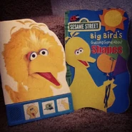 BigBirdPlayaSoundBook