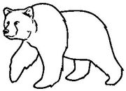 Grizzly blank