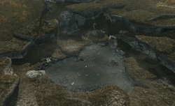 FetidPond