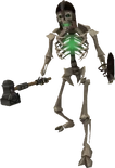 Skeleton