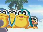 Pengi group