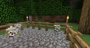Wolves (Dyed Collars)