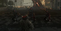 Evolvedtrio