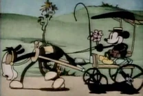 Mickey coach TheBarnDance