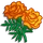 Orange Marigold-icon