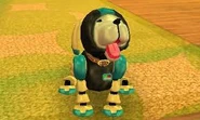 ImagesCA0J6K0M