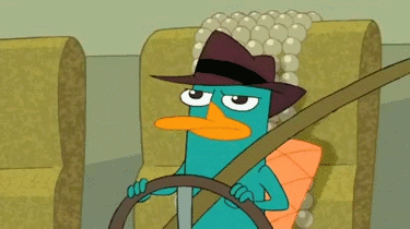 http://images3.wikia.nocookie.net/__cb20120827061057/pffanon/images/e/e4/Perry_the_Platypus.gif