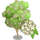 Alstonia Tree-icon