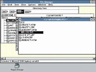 Win30fileman