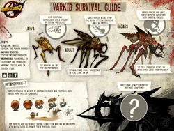 Varkids