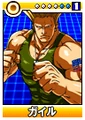 Guile-dss