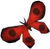 Red soporith moth detail