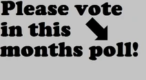 Pollvote2