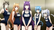 Catians