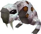 Sabre-toothed kebbit