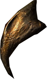 Hawk beak
