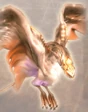 Ffxii-garudaegi