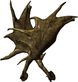 Large antlers