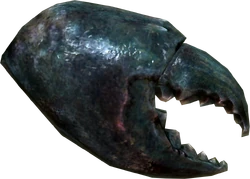 Mudcrab chitin