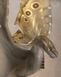 Pyrolisk (FFXII)
