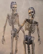 Skeleton FFXII