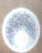 Undine Entite FFXII