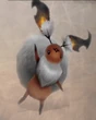 Wyrdhare (FFXII)