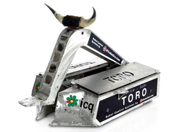ToroSummer02ms.jpg