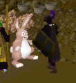 Bunny Transformation.gif