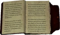 UmanasJournal1.png