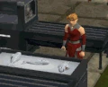 Chopping fish.gif