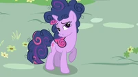 Twilight continuing to question Rainbow Dash S1E1
