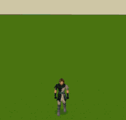 Combat max level