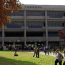 College cropped