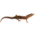 Item reefgecko 02
